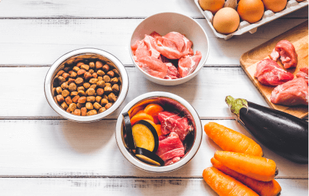 Explore nossa família de alimentos mais frescos